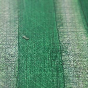 detail-green million-02
