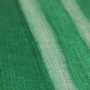 detail-green million-07
