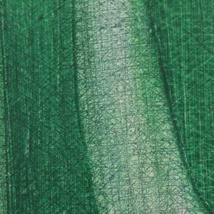 detail-green million-09