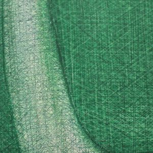 detail-green million-10